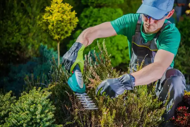 landscaping services Baldwinville